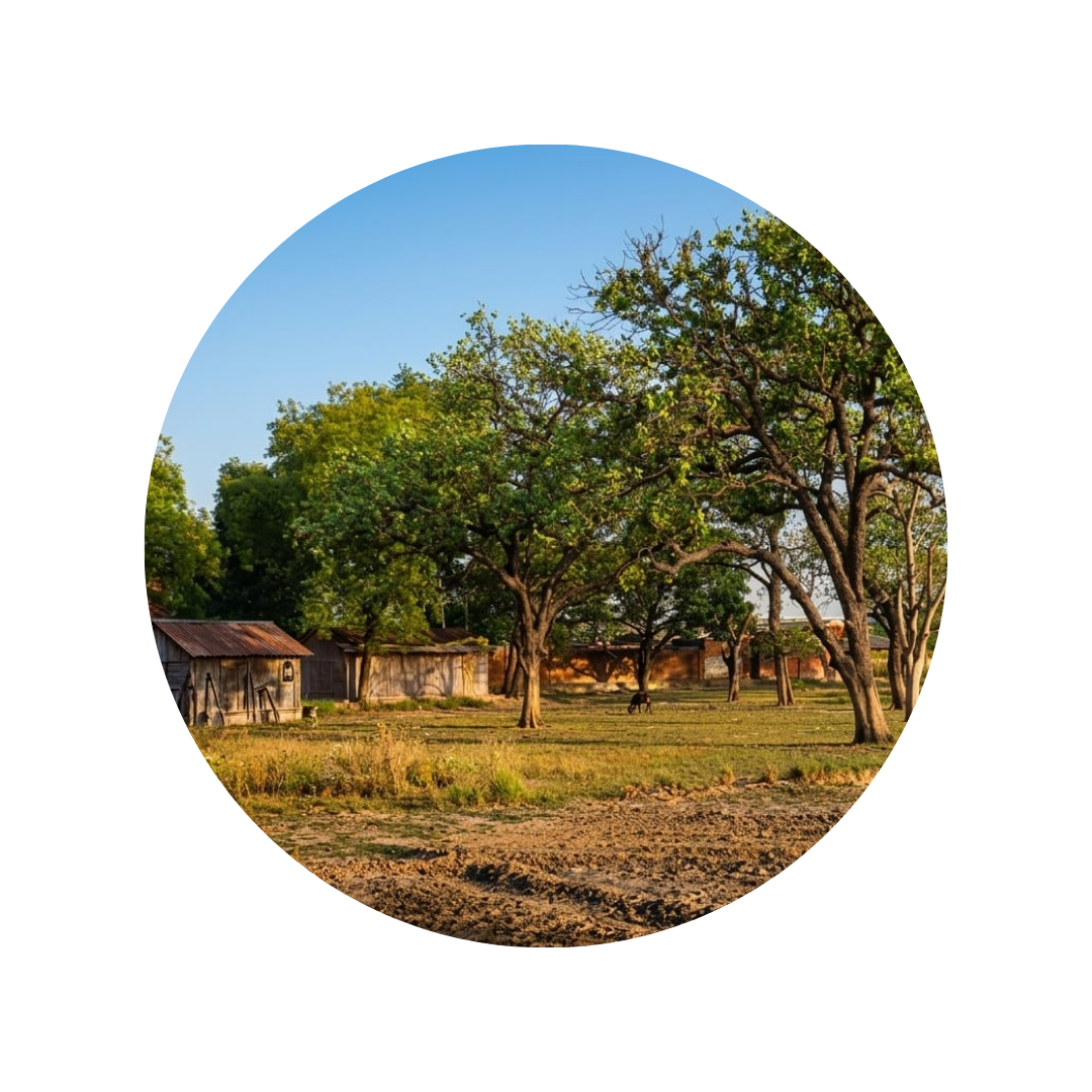 12863 K block Kidwai Nagar Kanpur 17