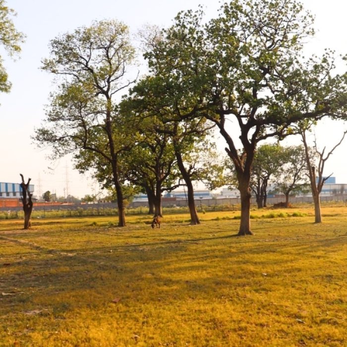 12863, K block, Kidwai Nagar, Kanpur (9)